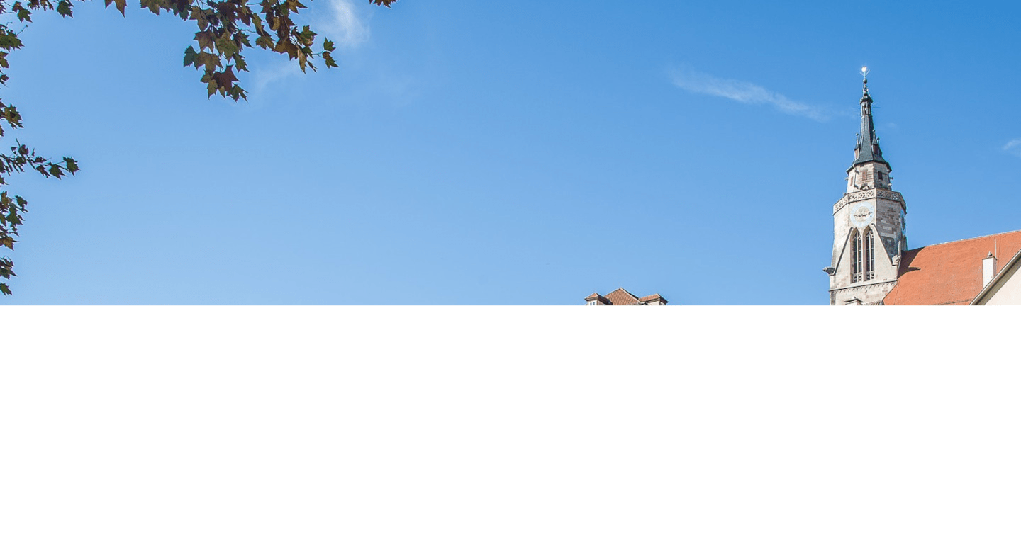 Stocherkahn mit Grill Hintergundbild